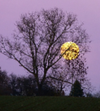 Soirée Nouvelle Lune Soirée Nouvelle Lune