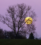 Soirée Nouvelle Lune